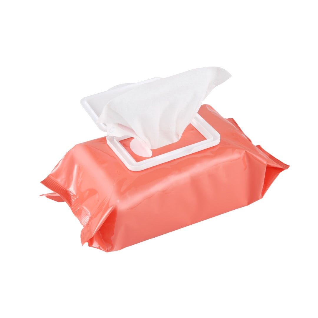 TOALLITAS HIPOALERGENICAS 100C - WAGS & WIGGLES