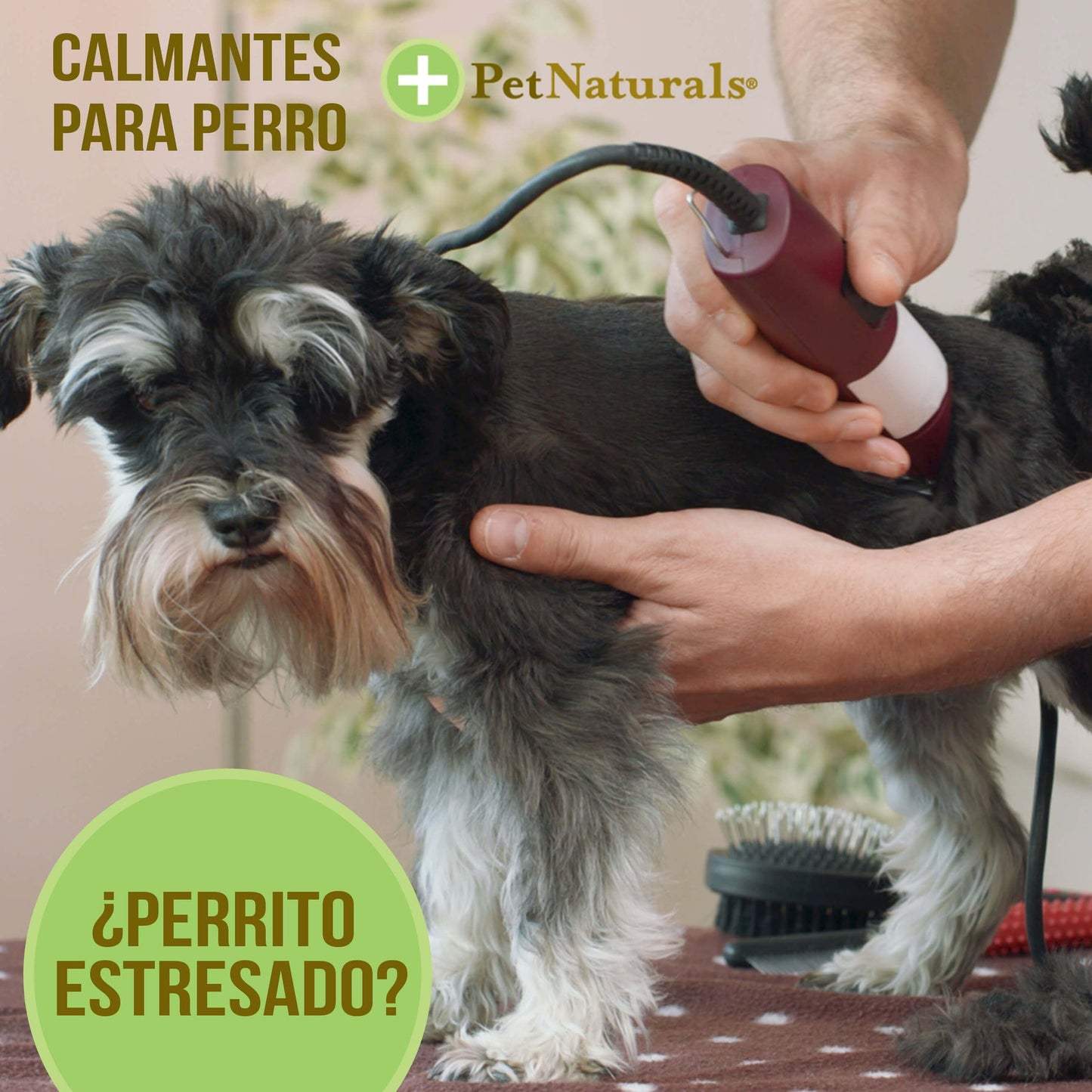 CALMANTES PARA PERROS MEDIANO Y GRANDES - PET NATURALS