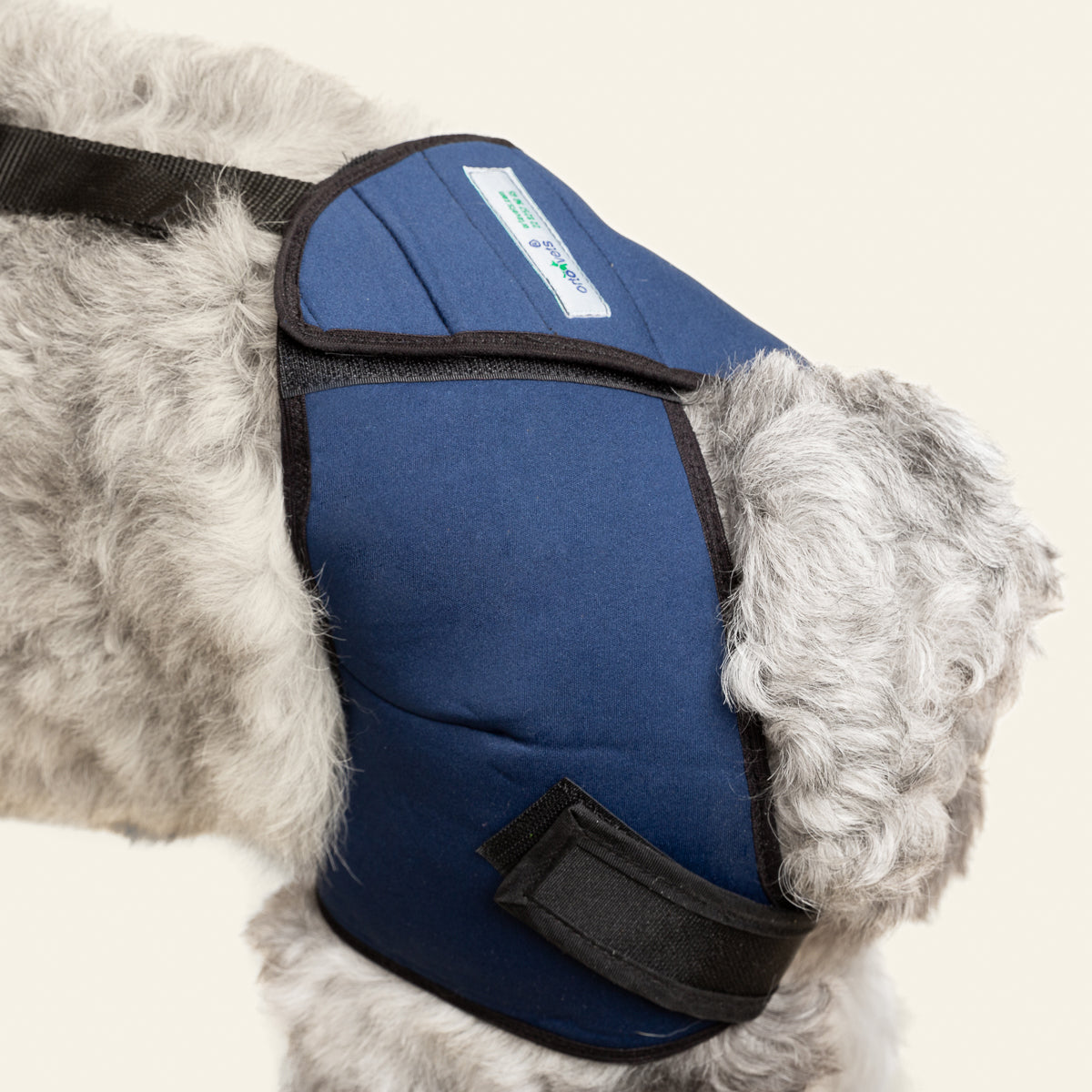 SOPORTE PROTECTOR DE CADERA - ORTOVETS