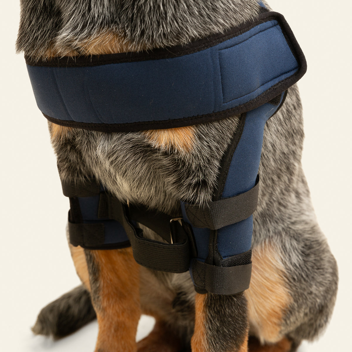 SOPORTE PROTECTOR DE HOMBRO - ORTOVETS