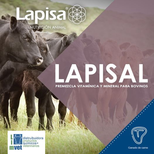LAPISAL 20 KG