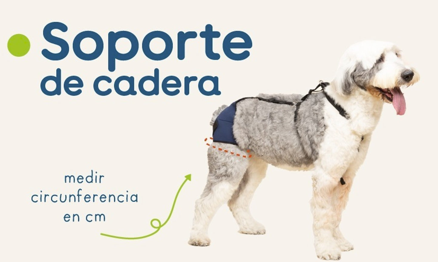 SOPORTE PROTECTOR DE CADERA - ORTOVETS