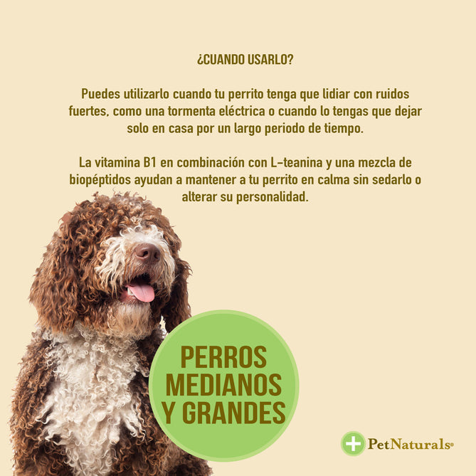 CALMANTES PARA PERROS MEDIANO Y GRANDES - PET NATURALS