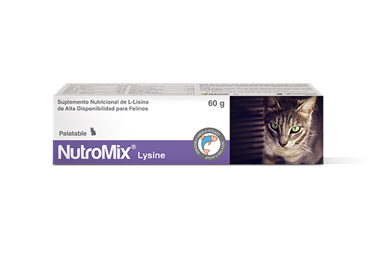NUTROMIX LYSINE 120GR - PETMEDICA