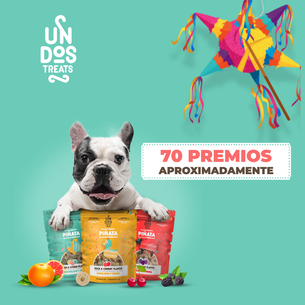 UN DOS TREATS - GOURMET BITES GALLETAS HORNEADAS - PATO Y CEREZA 5.5 OZ