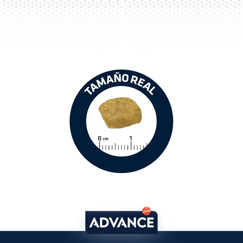 AVET CAT RENAL FAILUREI - ADVANCE