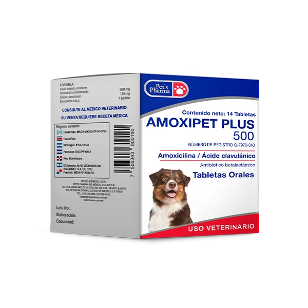 AMOXIPET