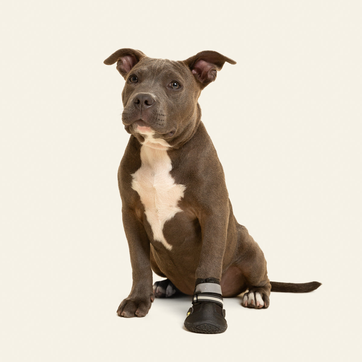 BOTA ANTIDERRAPANTE - ORTOVETS