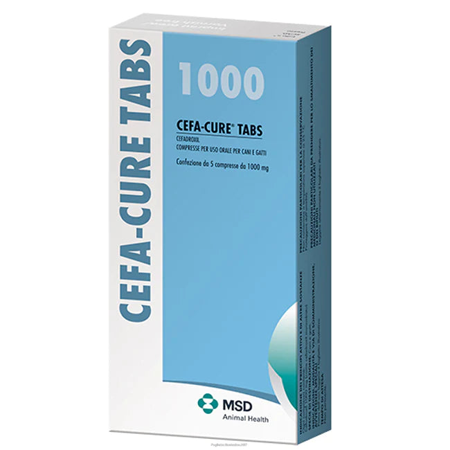 CEFA-CURE - MSD