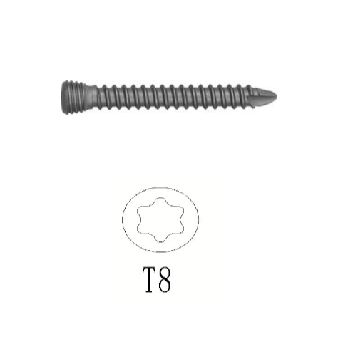 Tornillo de bloqueo de titanio 2.7 -Toolmed Medical Instrument (Copia)