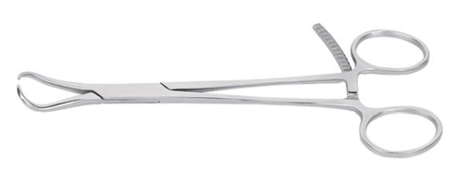 Pinza de Reducción con Punta -Toolmed Medical Instrument