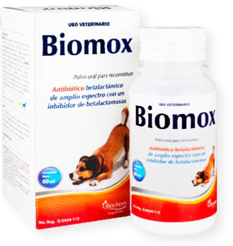 Biomox 60 ml (Amoxicilina + A. Clavulánico ) -Biochem