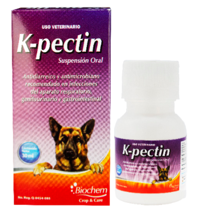 K Pectin (Kanamicina + Loperamida) -biochem