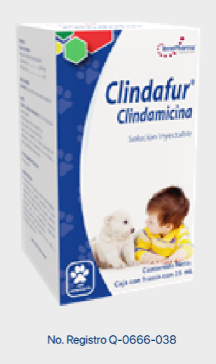 Clindafur 25 ml (Clindamicina ) -INNOPHARMA