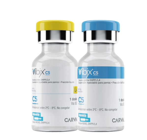 Vibix C5 (Distemper, Adenovirus 2, Parvovirus 2b, Parainfluenza 2 y 4 Leptospiras) -Kirón