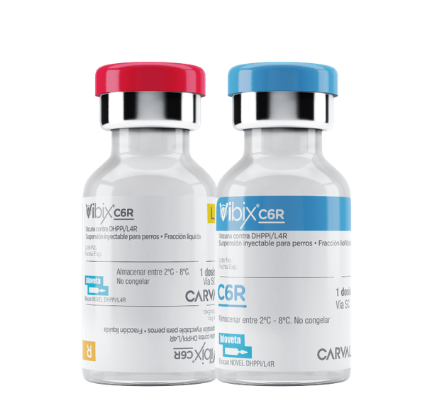 Vibix C6R (Distemper, Adenovirus 2, Parvovirus 2b, Parainfluenza 2, 4 Leptospiras y Rabia) -Kirón