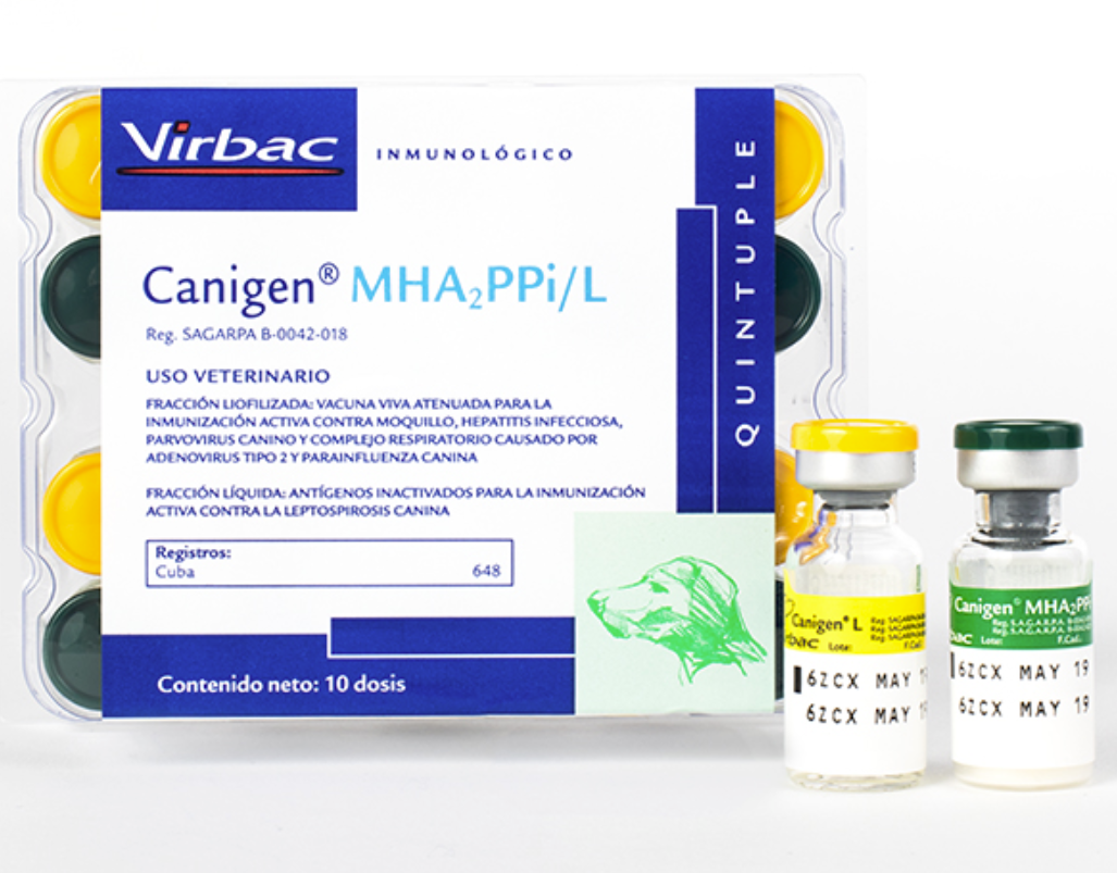 CANIGEN MHA2PPIL QUÍNTUPLE (PARVOVIRUS, HEPATITIS, ADENOVI- RUS, PARAINFLUENZA, LEPTOSPIRA, MOQUILLO) -VIRBAC