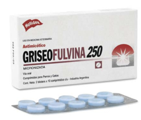 GRISEOFULVINA 250mg – HOLLIDAY