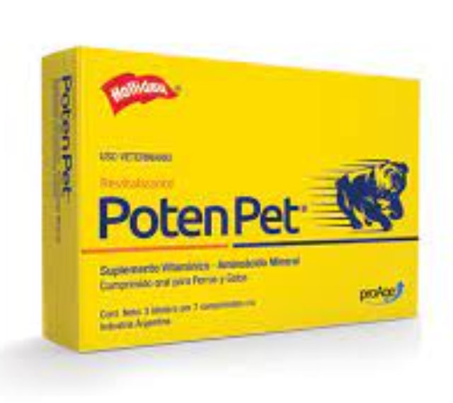POTEN PET (Metionina+Vitamina C+Nicotinamida) – HOLLIDAY