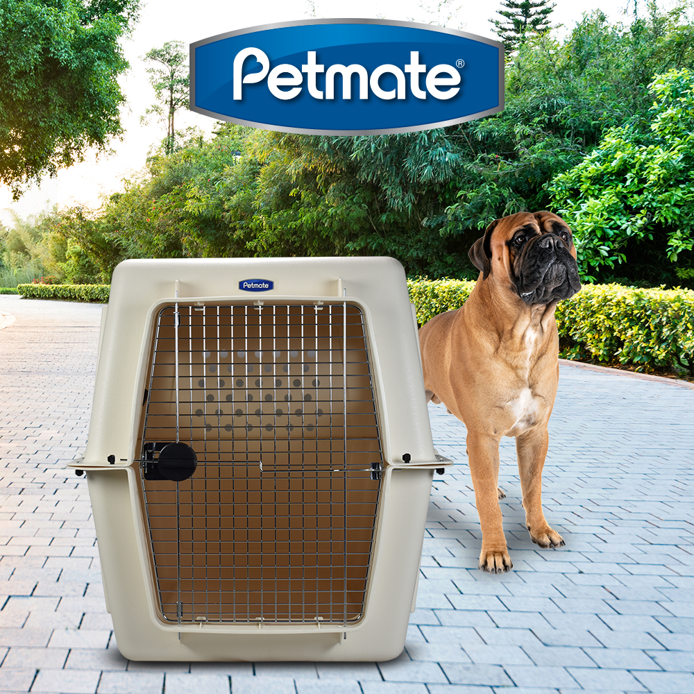 TRANSPORTADORA VARI KENNEL