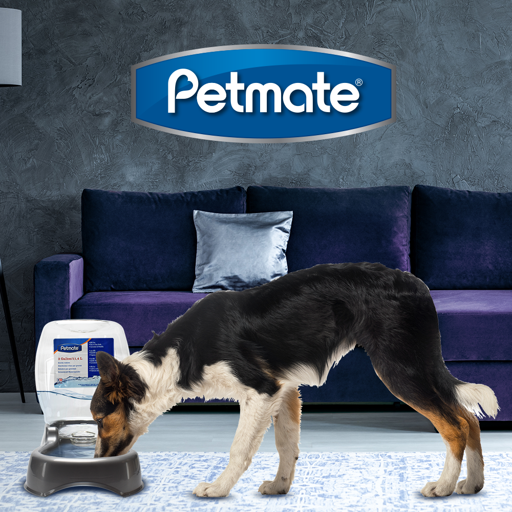 BEBEDERO PET CAFE