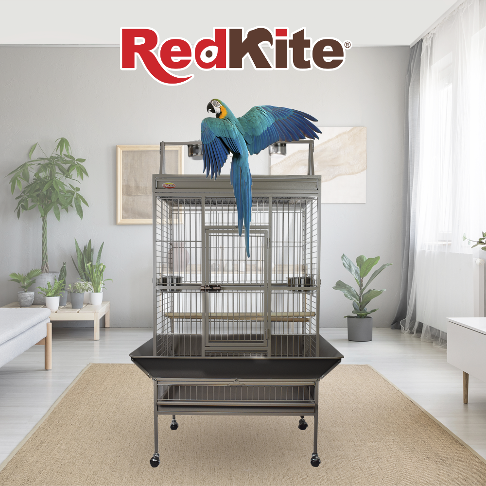 JAULA GUAYAQUIL PARA LORO