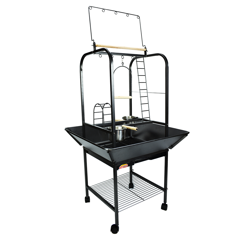 GIMNASIO PARA LORO