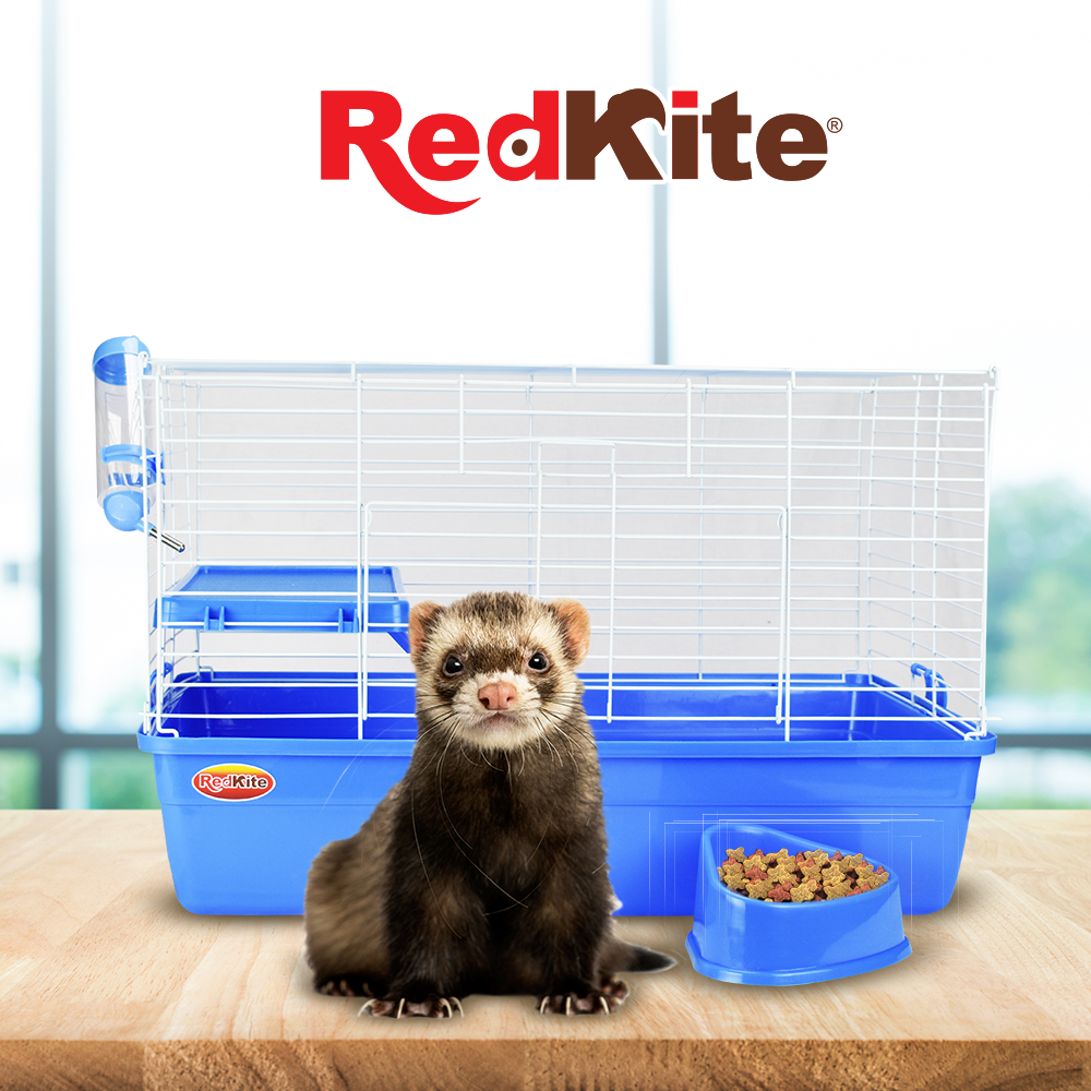 JAULA AMSTERDAM PARA HURÓN