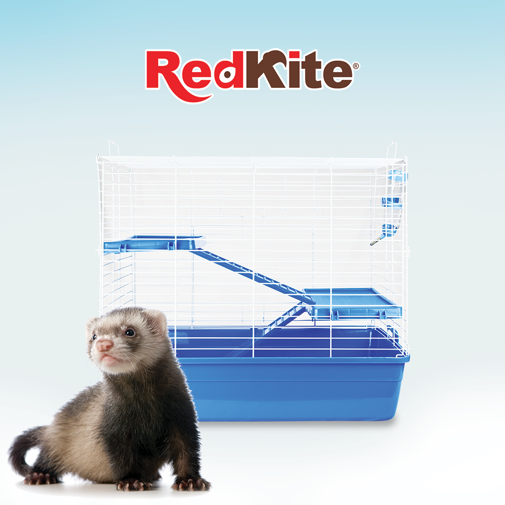 JAULA AMSTERDAM PARA HURÓN