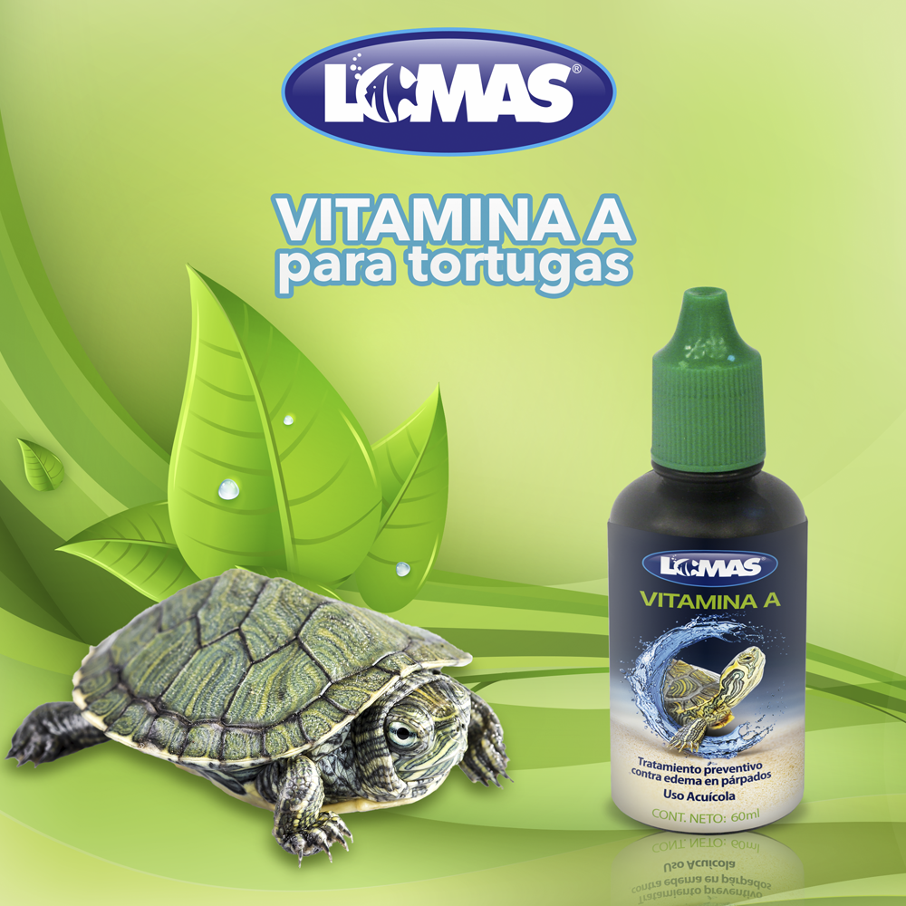 VITAMINA A PARA TORTUGAS