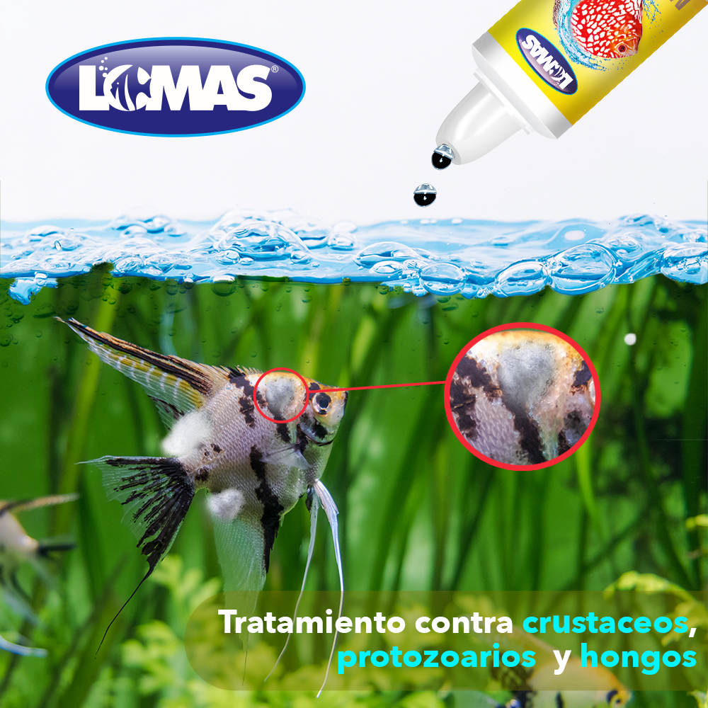 MEGA OX 60 ML. PARA PECES