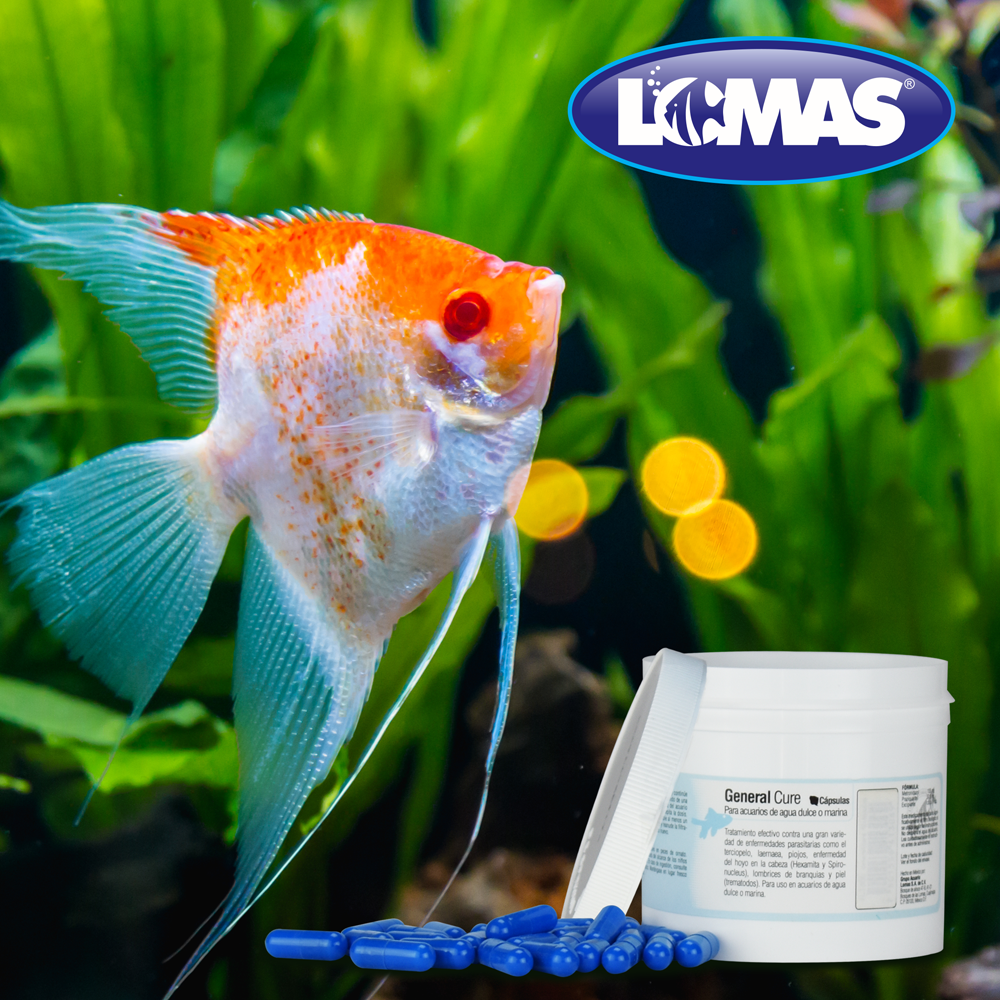 GENERAL CURE 100 CÁPSULAS