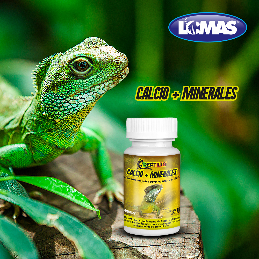 SUPLEMENTO DE CALCIO CON MINERALES PARA REPTILES 135 GR.