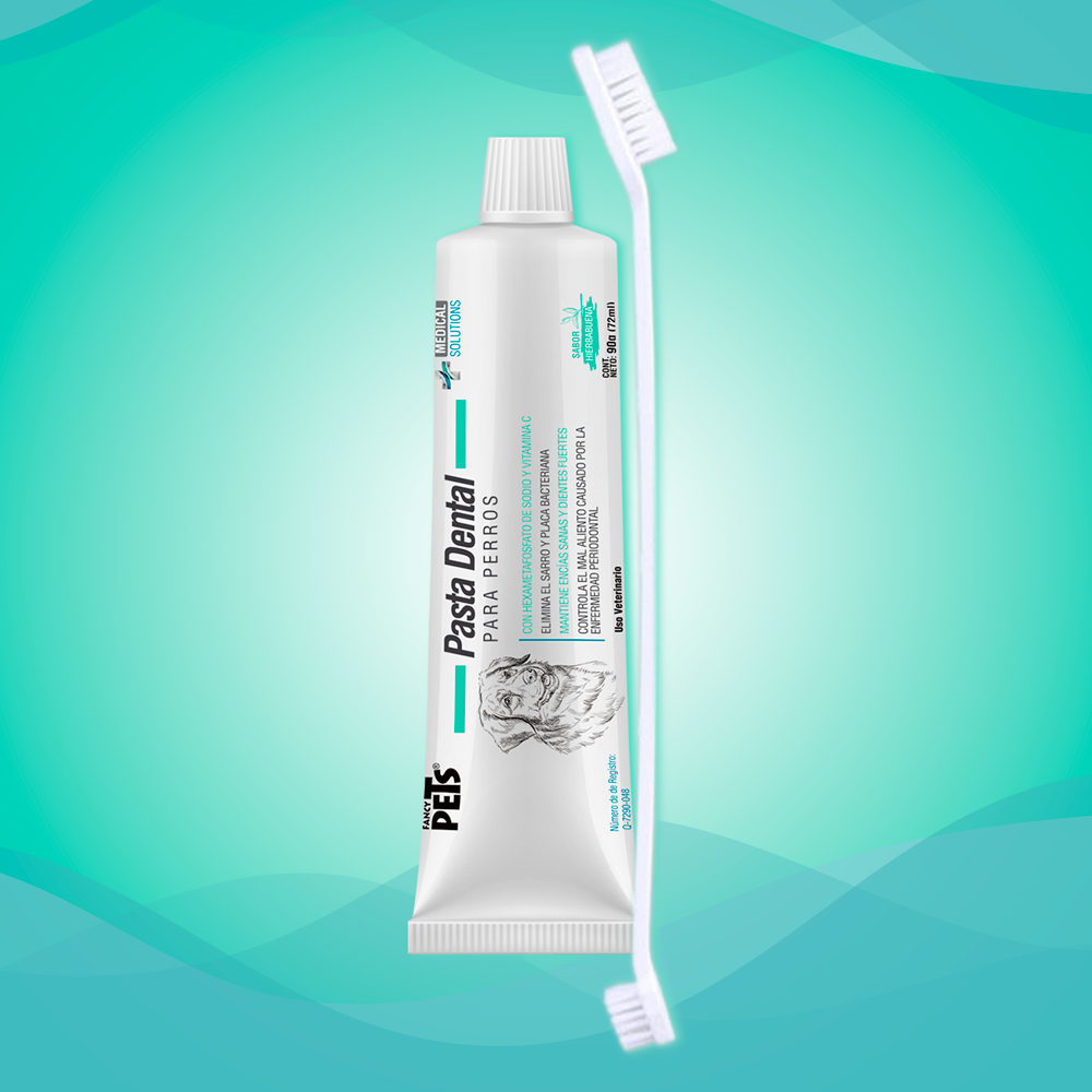 MS KIT DENTAL ANTISARRO PARA PERROS