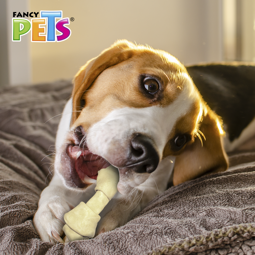 CARNAZA DE RES (10-13 CM) - 2 PZ.