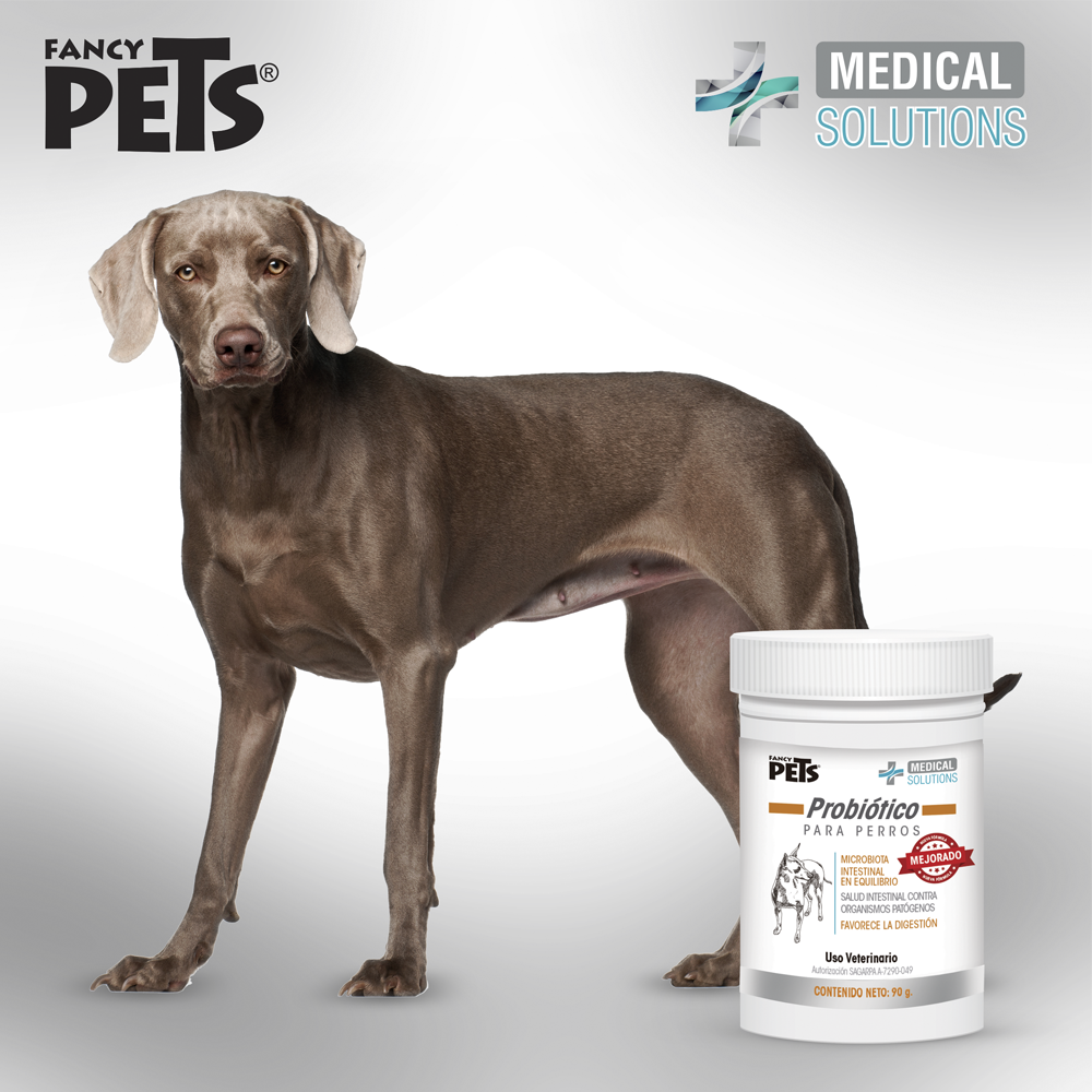 MS PROBIOTICO P/PERROS 90 G