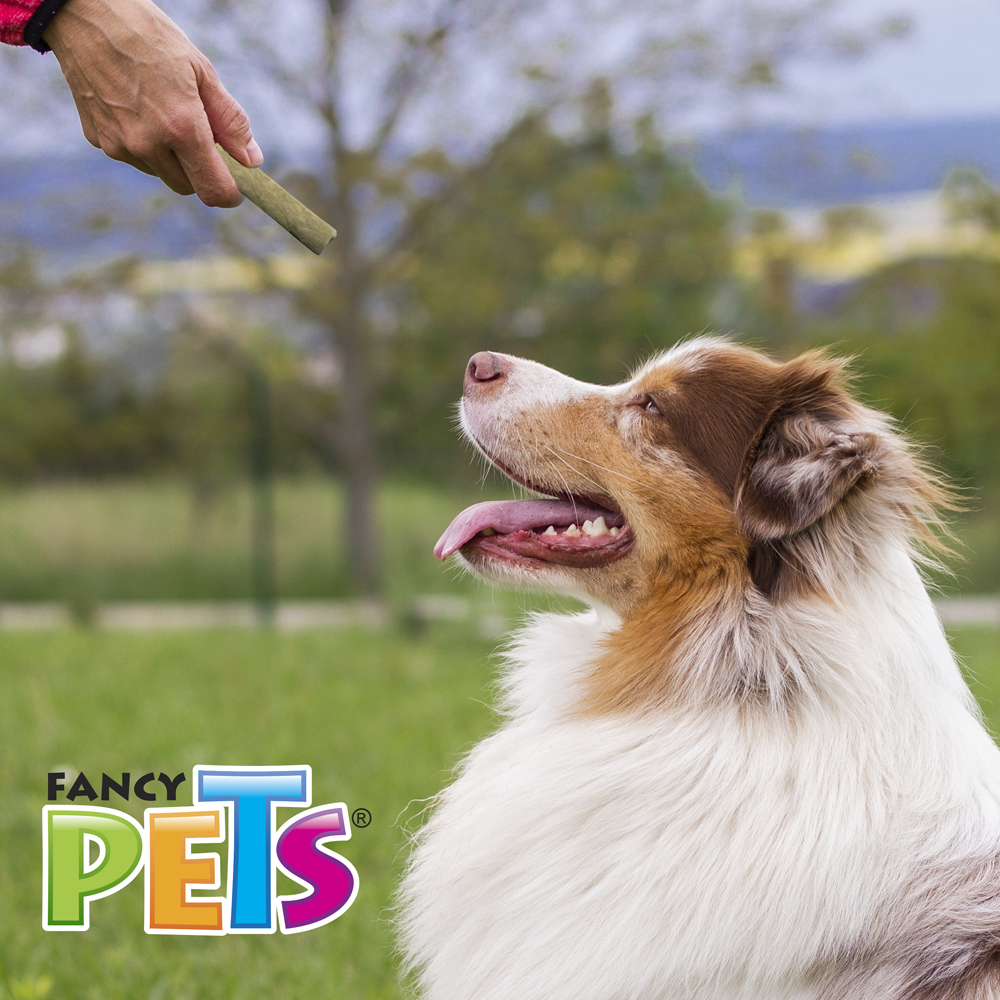 PALITOS DE CARNAZA CRUZ (6.3 CM) - 20 PZ