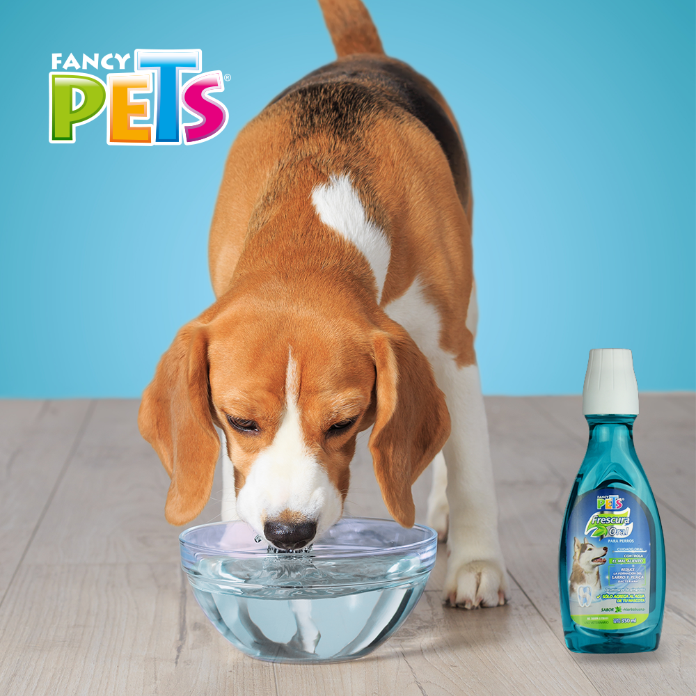 REFRESCANTE DE ALIENTO FANCYPETS