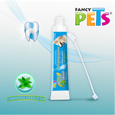 KIT DENTAL (PASTA Y CEPILLO)