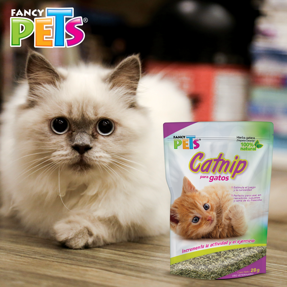 CATNIP P/GATOS 28 G
