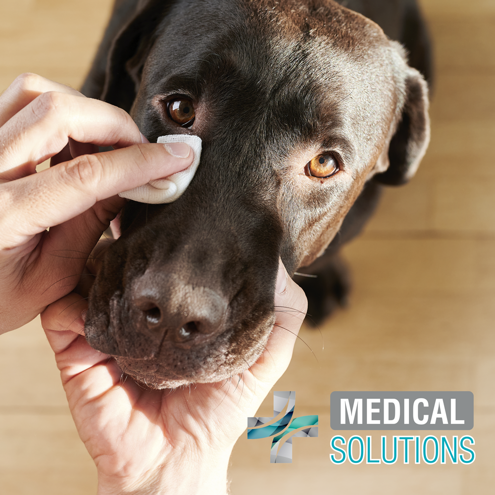 MS TOALLITAS LIMPIADORAS P/OJOS - 80 PZ