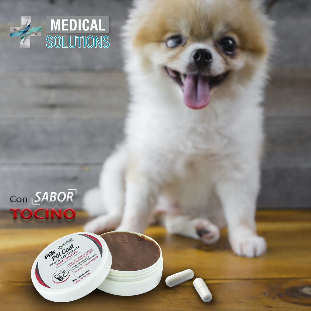 PILL COAT PASTA SABORIZADA P/MASCOTAS 60 G