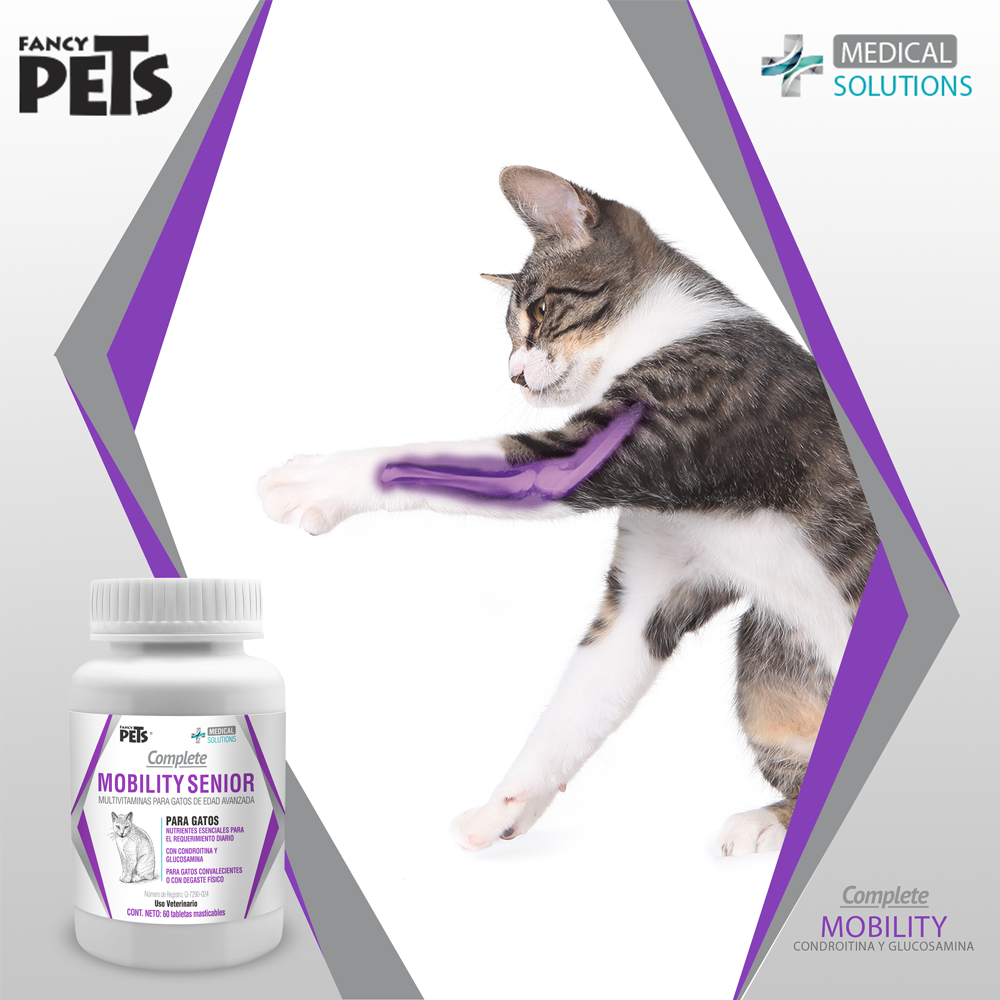 TABLETAS MASTICABLES COMPLETE MOBILITY SENIOR PARA GATOS