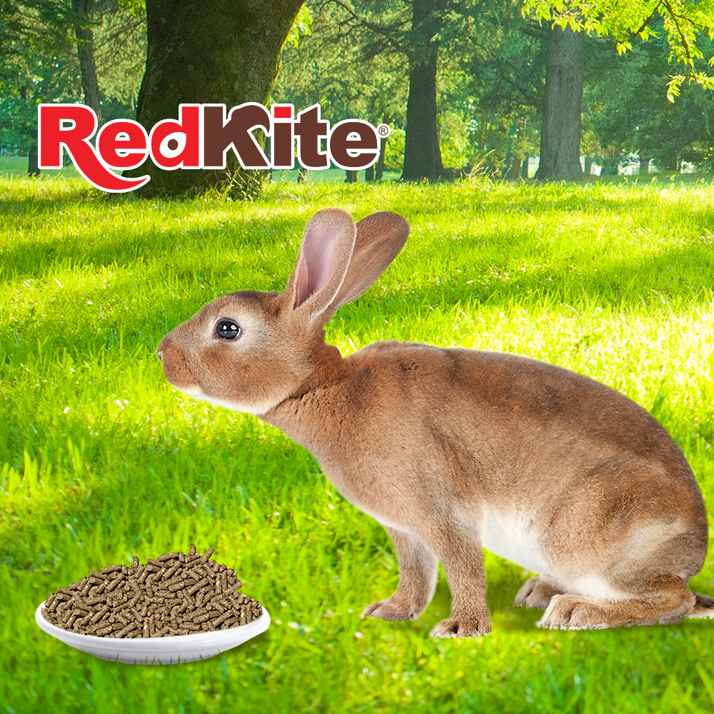 ALIMENTO P/CONEJO 1 KG