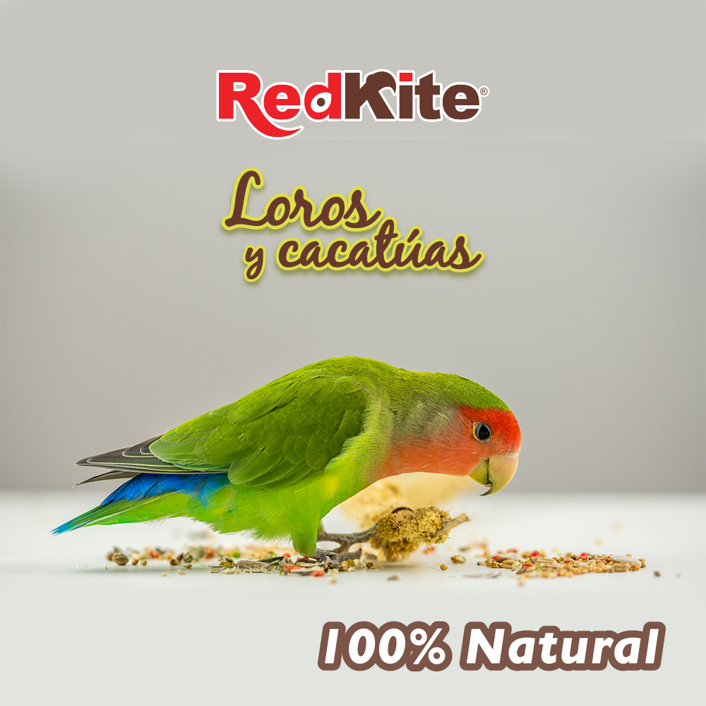 MEZCLA DE SEMILLAS P/LOROS Y CACATUAS 500 G