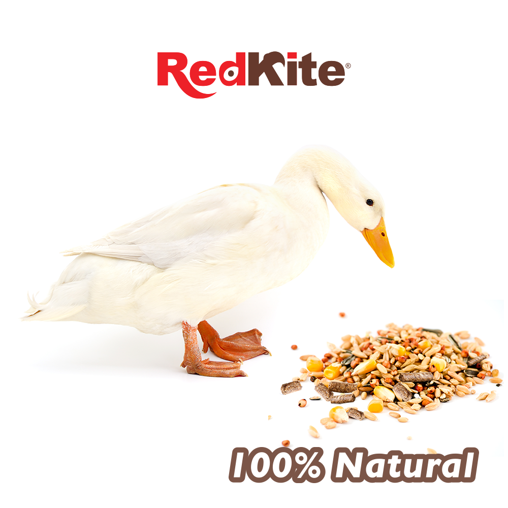 MEZCLA DE SEMILLAS P/PATOS 1 KG