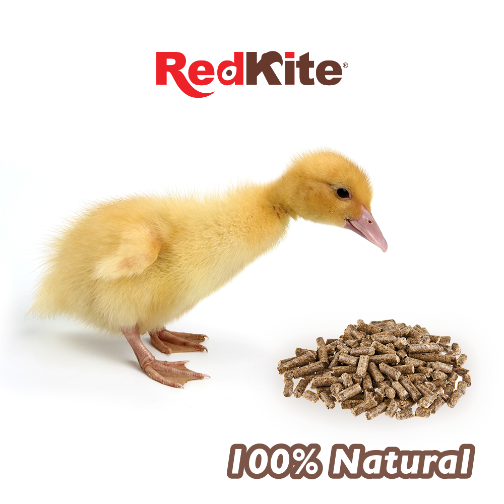 ALIMENTO P/PATOS JUVENILES 1 KG