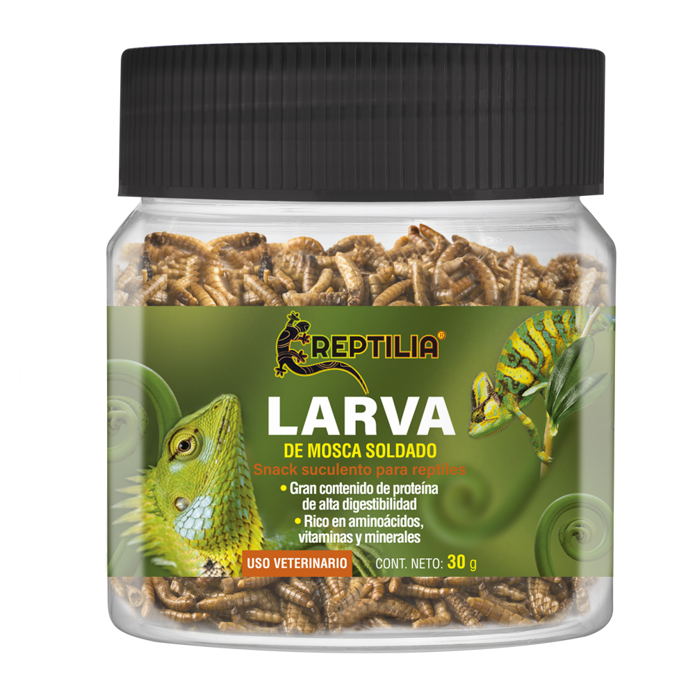 REPTILIA LARVA DE MOSCA SOLDADO 30 GRS