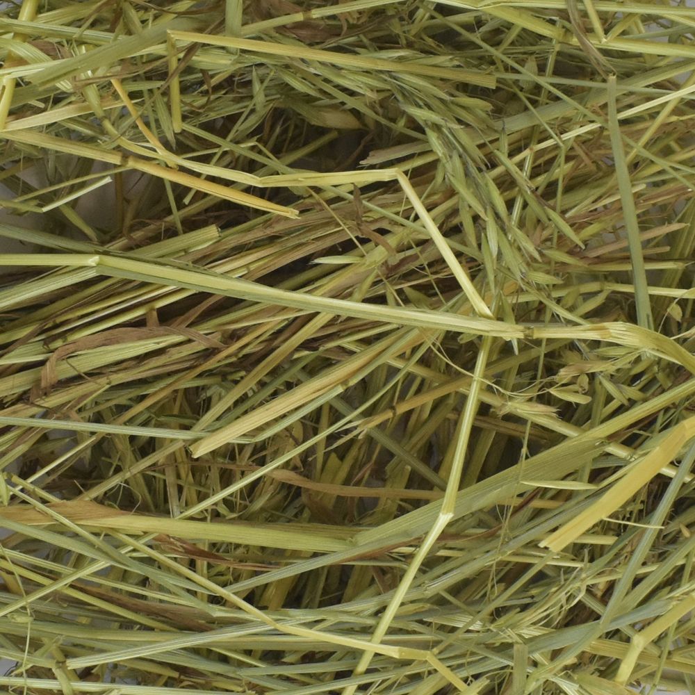 HENO DE AVENA P/HERBIVOROS 500 G