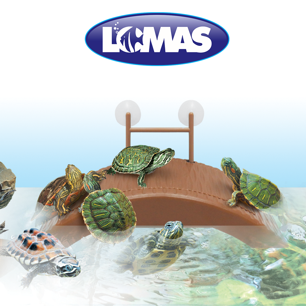 MUELLE FLOTANTE P/TORTUGAS